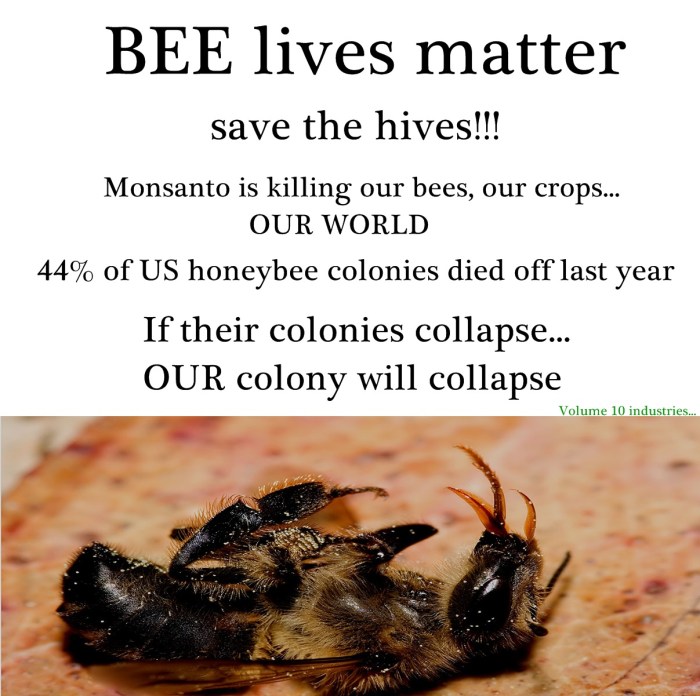 Colony Collapse