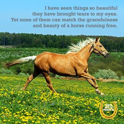 c47cda856e8a409ca632f0b95b5edf9a