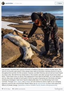 Stirlings other pb that died of climate change_Sept 8 2015